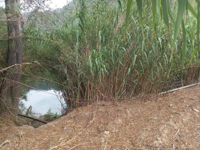 OPORTUNIDAD FINCA DE REGADIO EN MIRAVET CON ACCESO DIRECTO AL RIO EBRO._1