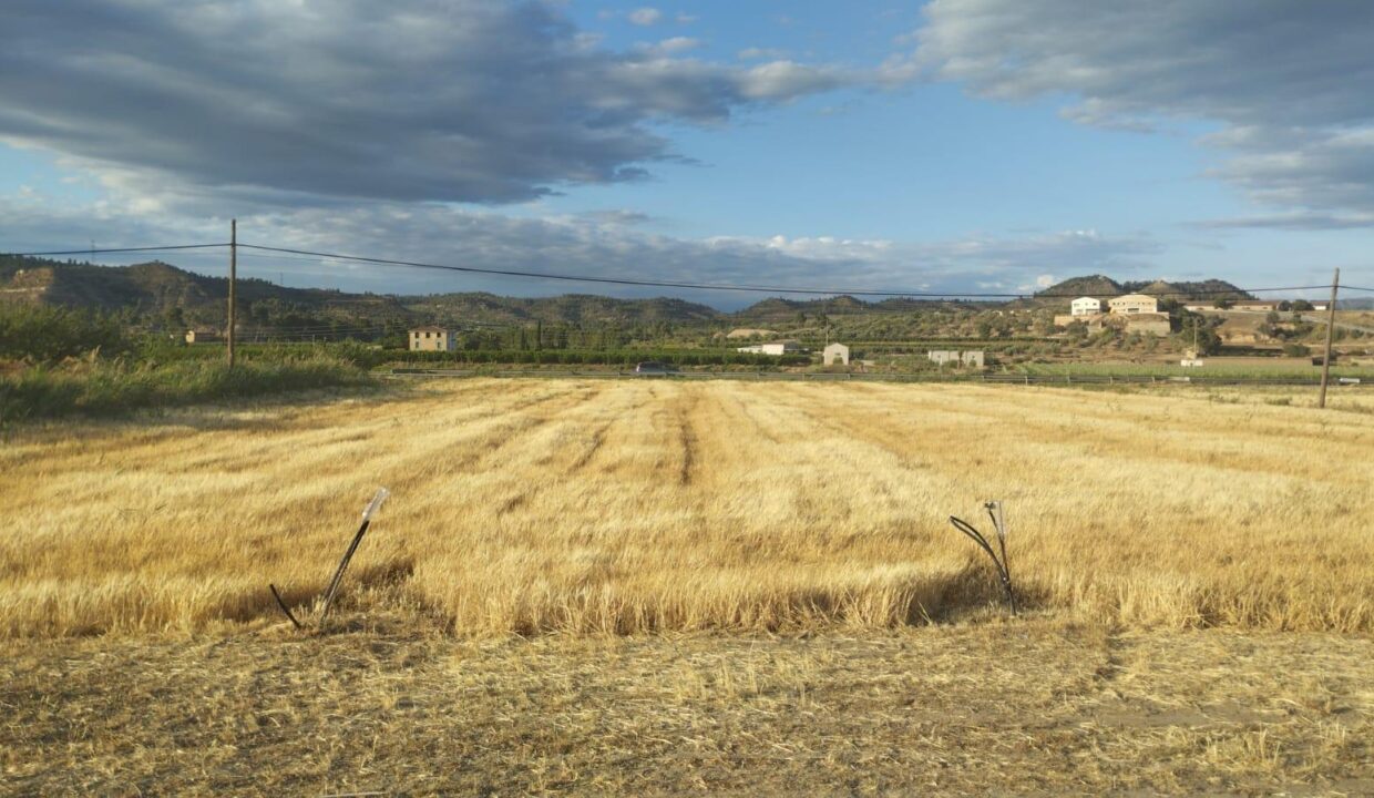 OPORTUNIDAD FINCA DE REGADIO LINDANDO AL RIO EBRO CON CASA DE CAMPO EN ASCO_3