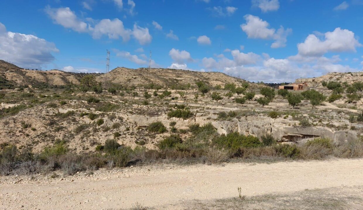 OPORTUNIDAD FINCA RUSTICA DE REGADIO CON CONSTRUCCIONES A REHABILITAR EN VINEBRE_3