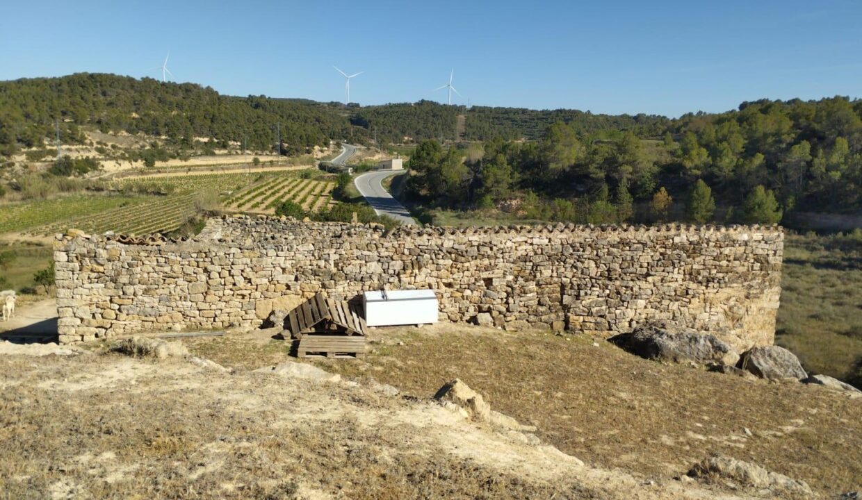 OPORTUNIDAD FINCA RUSTICA DE REGADIO CON GRAN CONSTUCCION AGRICOLA EN VILLALBA DELS ARCS_3