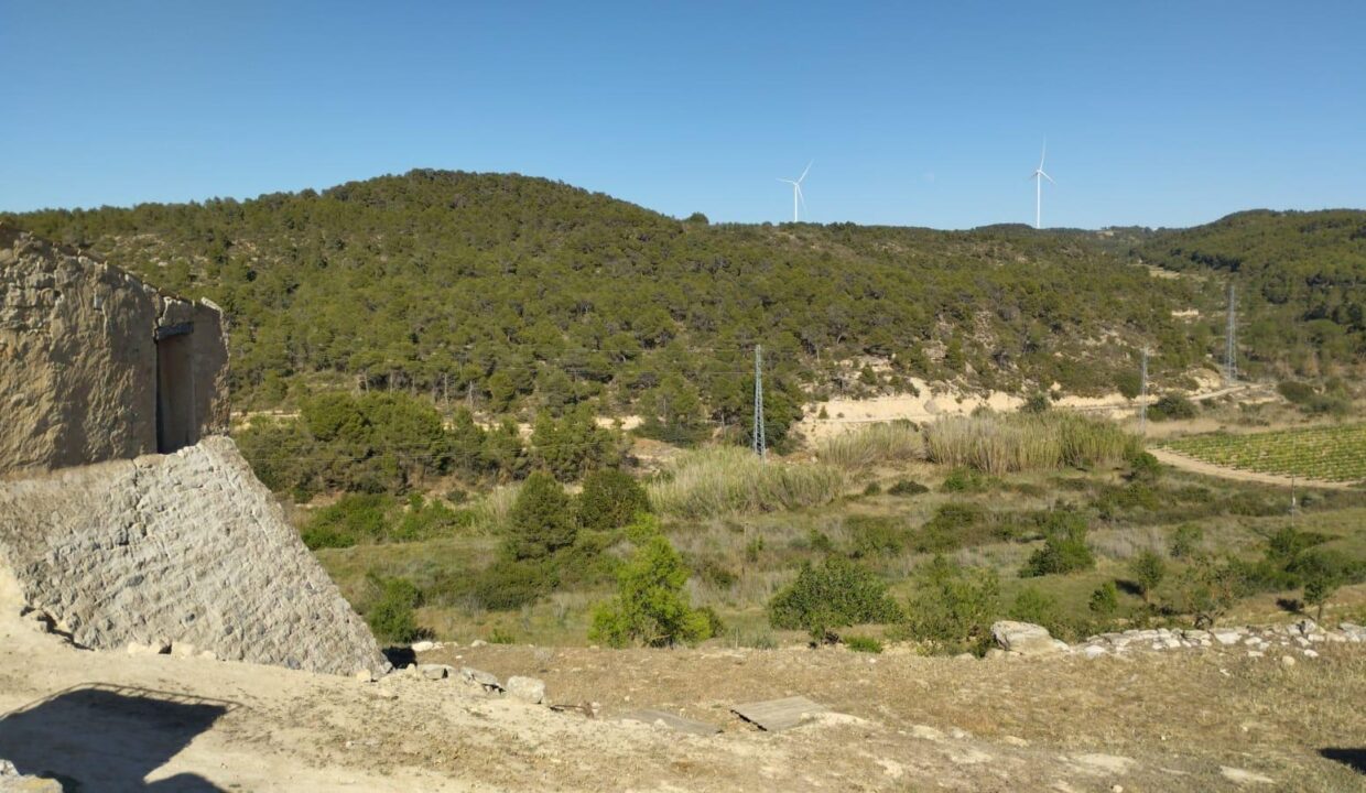 OPORTUNIDAD FINCA RUSTICA DE REGADIO CON GRAN CONSTUCCION AGRICOLA EN VILLALBA DELS ARCS_4