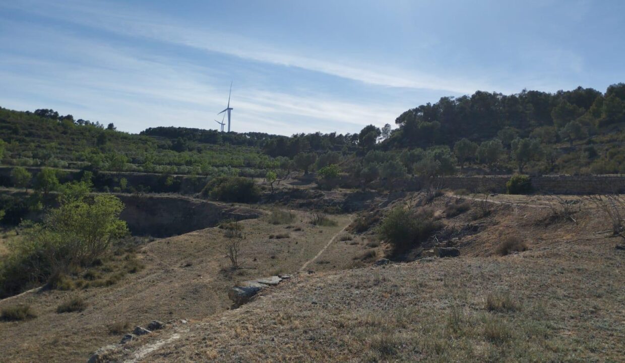 OPORTUNIDAD FINCA RUSTICA DE REGADIO CON GRAN CONSTUCCION AGRICOLA EN VILLALBA DELS ARCS_5