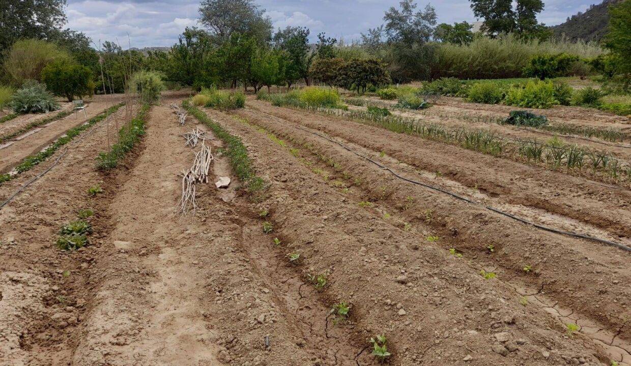 OPORTUNIDAD FINCA RUSTICA DE REGADIO CON MASIA CON ACCESO DIRECTO  AL RIO EBRO EN FLIX_4