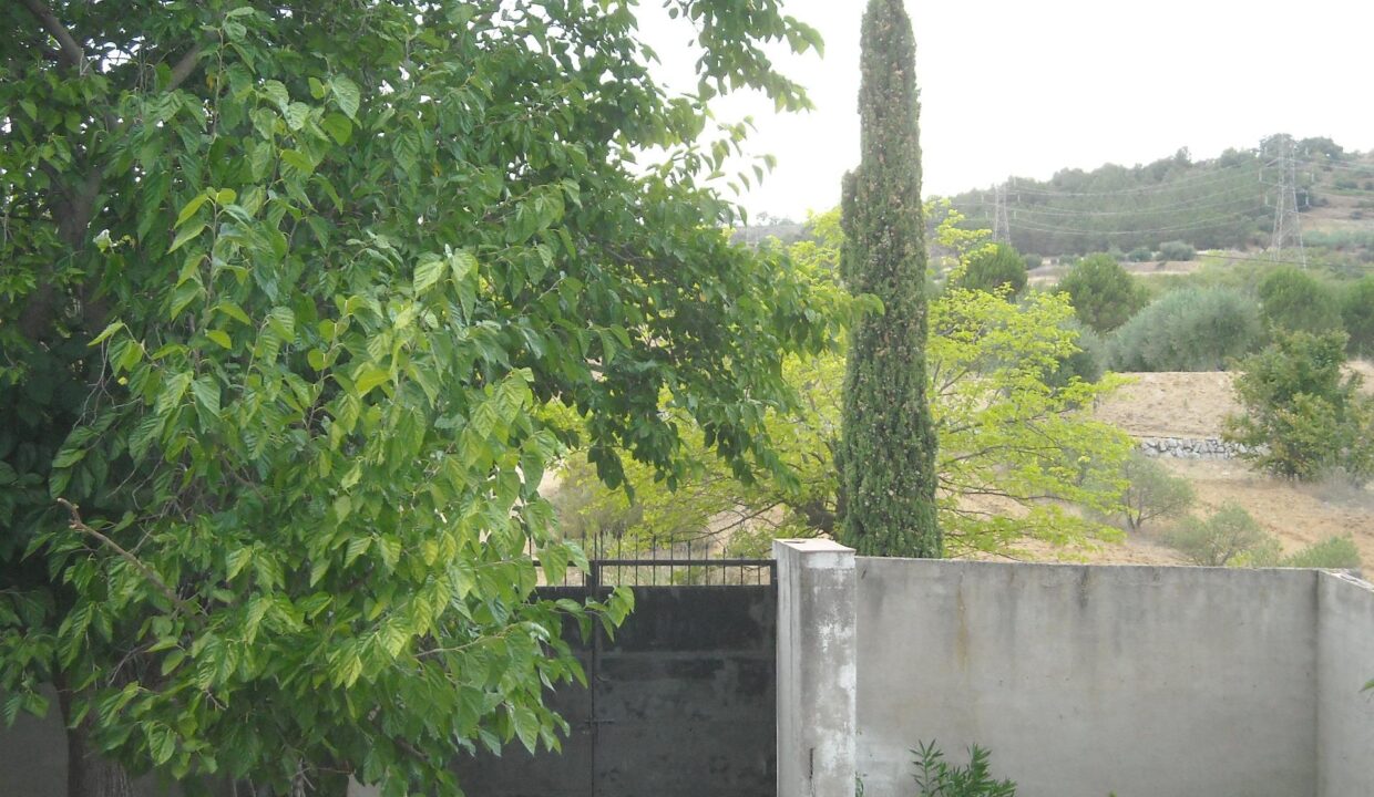 OPORTUNIDAD GRAN CASA DE CAMPO EN FINCA RUSTICA DE REGADIO EN FALSET(  Priorat)_5