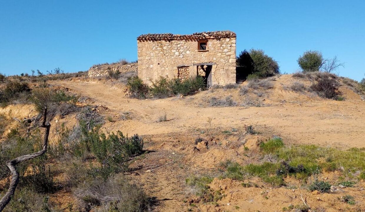 OPORTUNIDAD GRAN FINCA RUSTICA DE SEMBRADURA DE 8