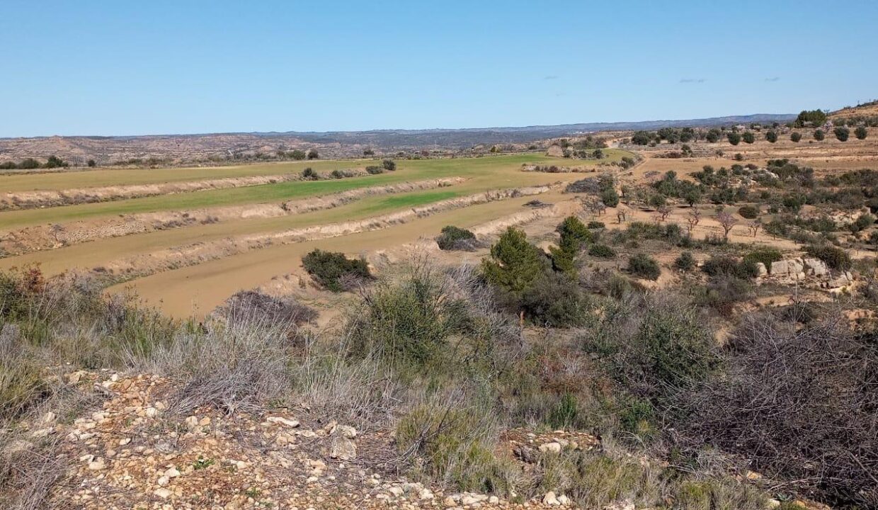 OPORTUNIDAD GRAN FINCA RUSTICA DE SEMBRADURA DE 8