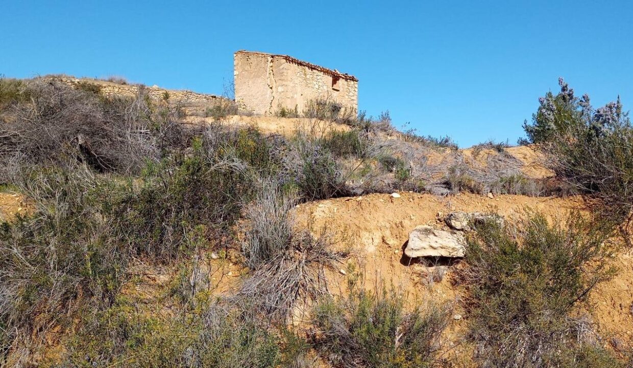 OPORTUNIDAD GRAN FINCA RUSTICA DE SEMBRADURA DE 8