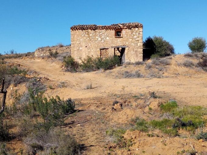 OPORTUNIDAD GRAN FINCA RUSTICA DE SEMBRADURA DE 8