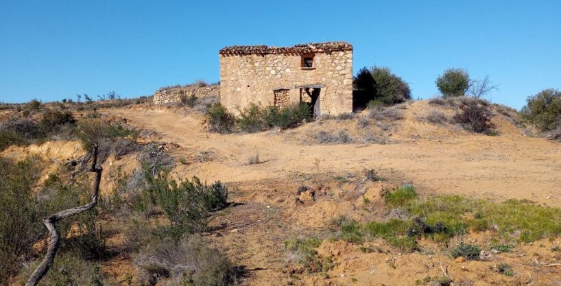 OPORTUNIDAD GRAN FINCA RUSTICA DE SEMBRADURA DE 8