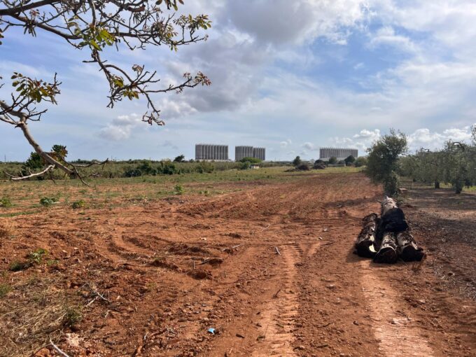 Oportunidad única: Amplia parcela rústica en zona tranquila de Constantí_1