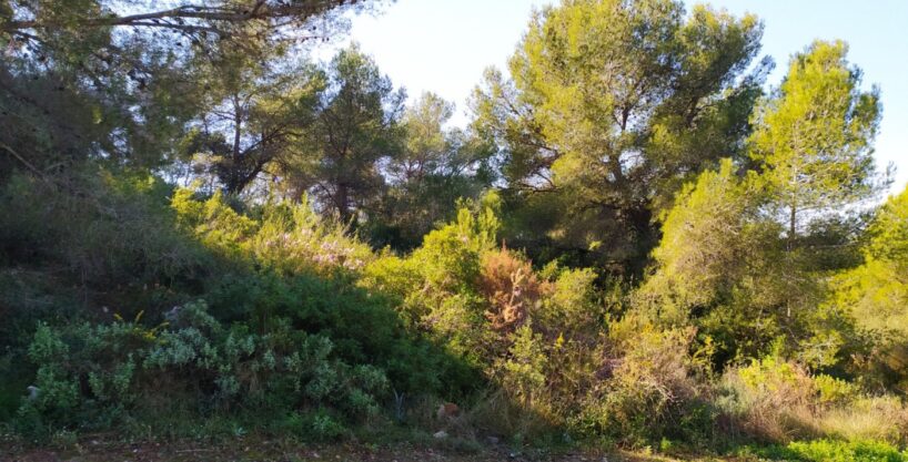 PARCELA DE 1.085M2 EN CALAFELL URBANIZACIÓN  MAS ROMEU -TARRAGONA._1