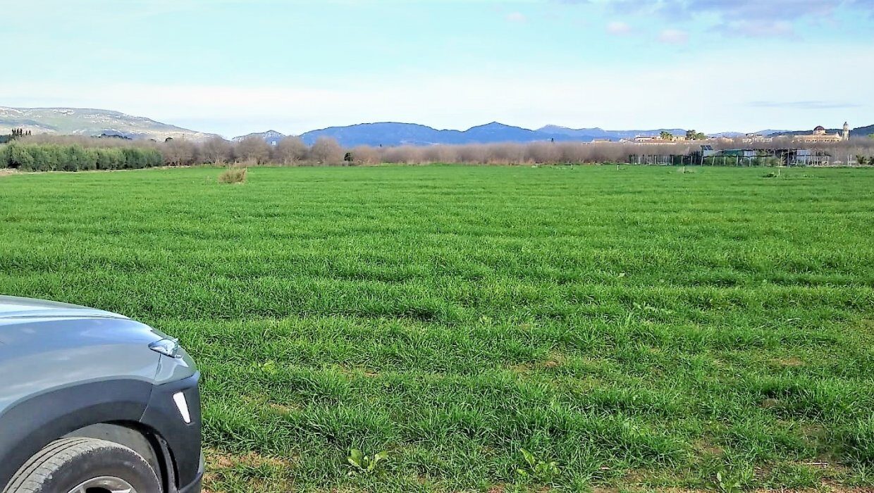 PORCION DE TIERRA DE HUERTA EN LA MASÓ