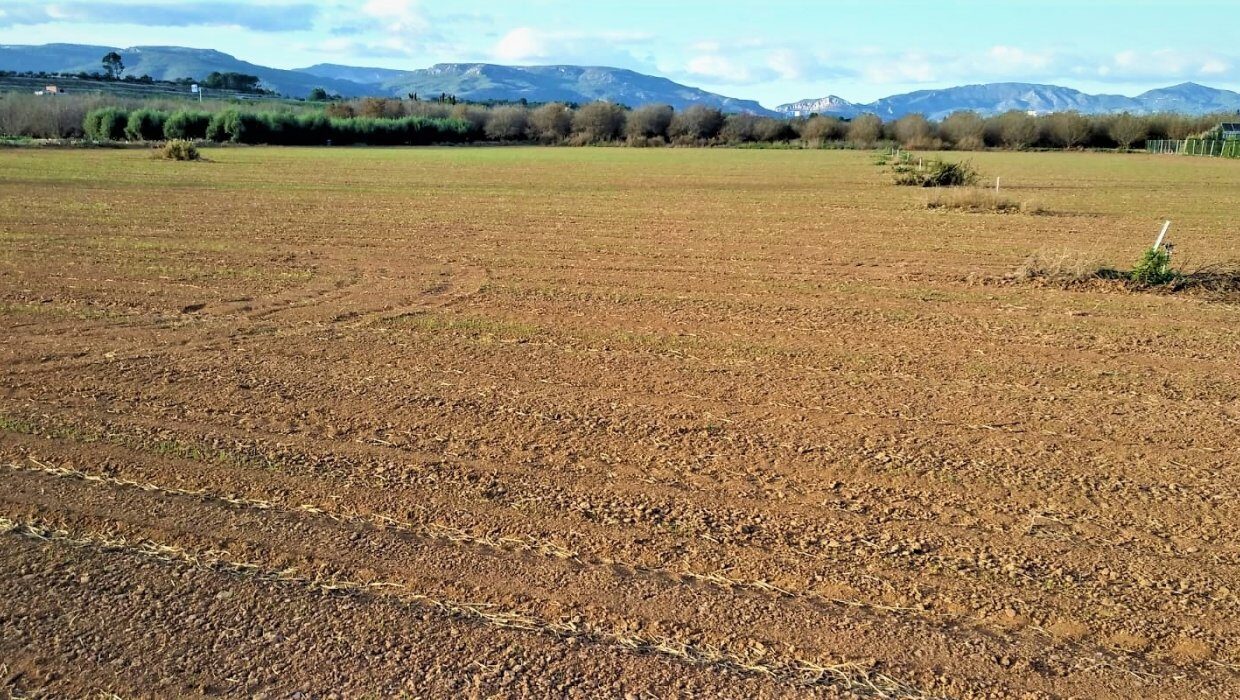 PORCION DE TIERRA DE HUERTA EN LA MASÓ