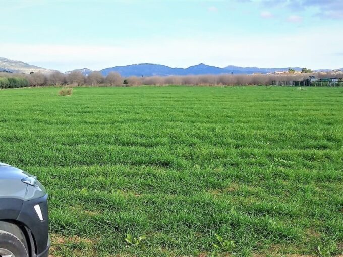 PORCION DE TIERRA DE HUERTA EN LA MASÓ