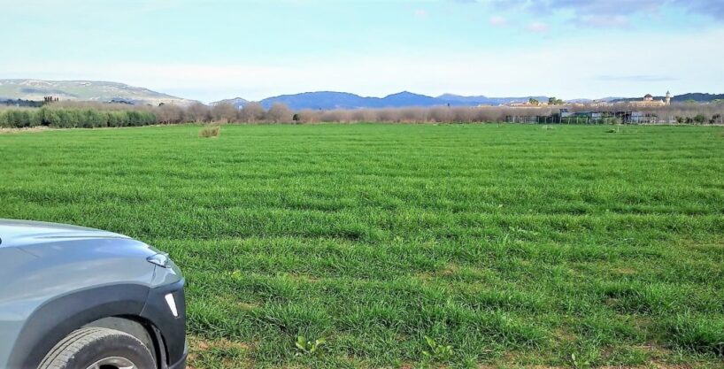 PORCION DE TIERRA DE HUERTA EN LA MASÓ