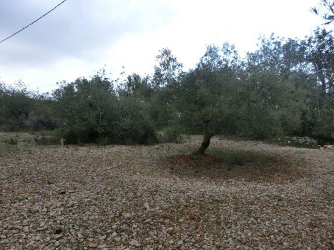 Sant Carles de la Rapita