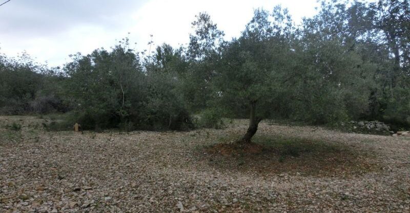 Sant Carles de la Rapita