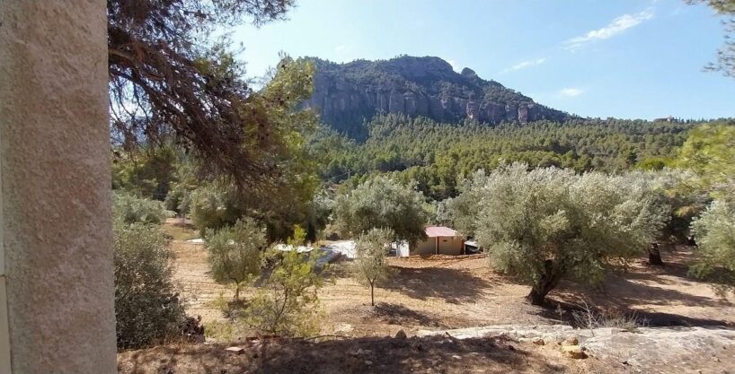 Suelo rústico Horta de Sant Joan  Venta HSJ-116