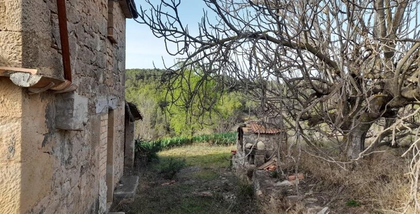 Suelo rústico Horta de Sant Joan  Venta HSJ-401