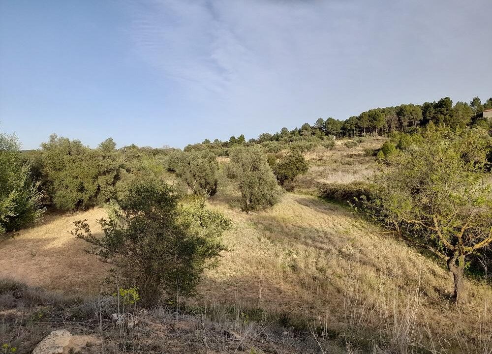 Suelo rústico Horta de Sant Joan  Venta HSJ-403