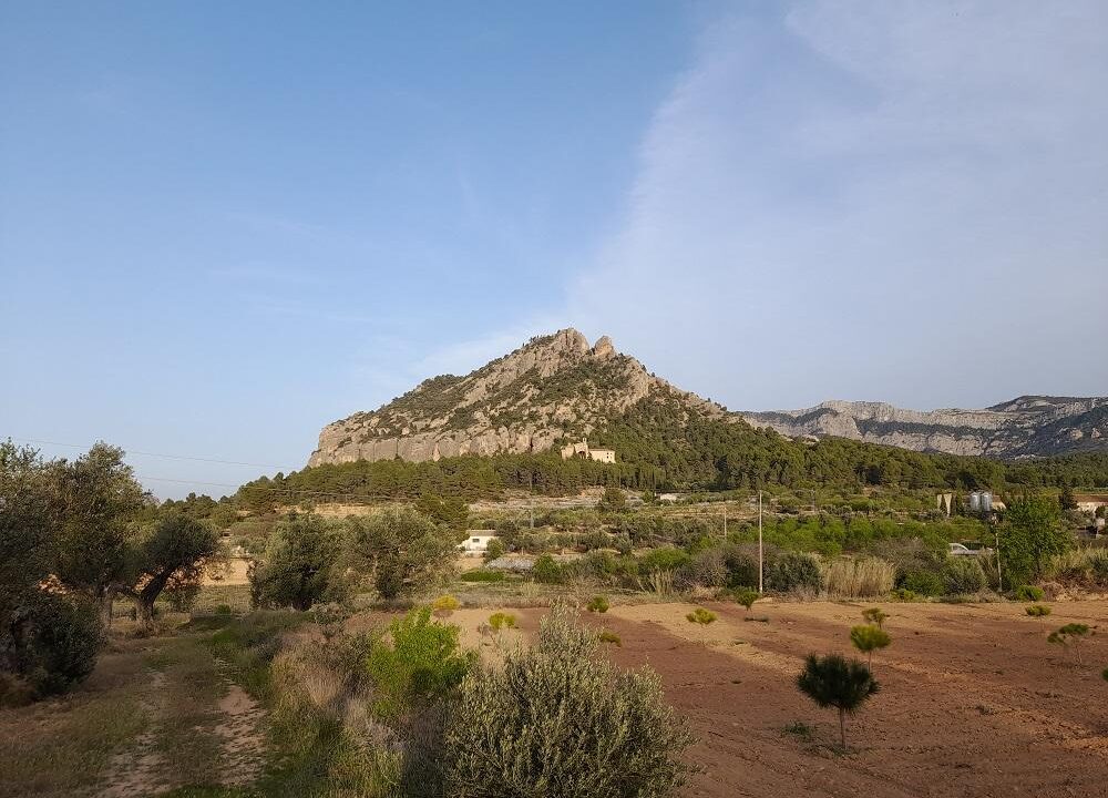 Suelo rústico Horta de Sant Joan  Venta HSJ-404