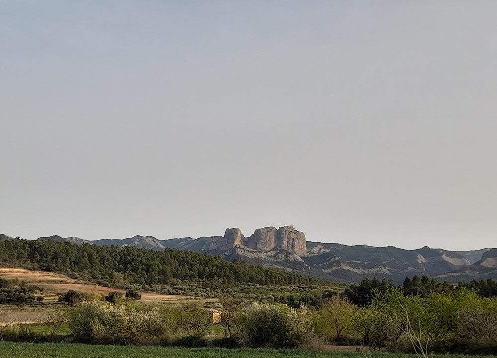 Suelo rústico Horta de Sant Joan  Venta HSJ-405_3