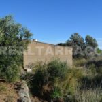 TERRENO AGRARIO EN VENTA EN RIUDECANYES_1