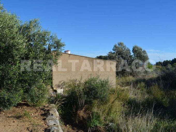 TERRENO AGRARIO EN VENTA EN RIUDECANYES_1