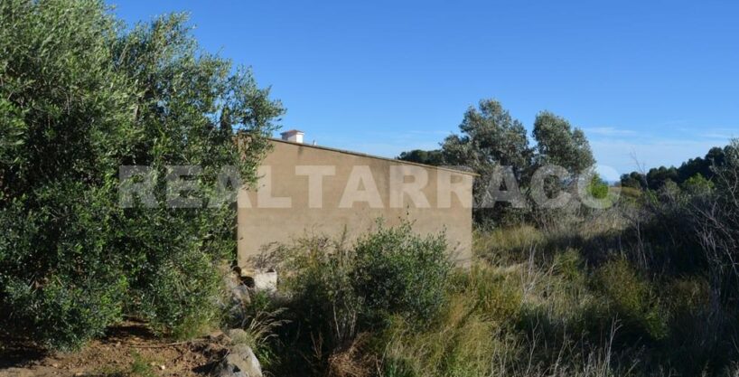 TERRENO AGRARIO EN VENTA EN RIUDECANYES_1