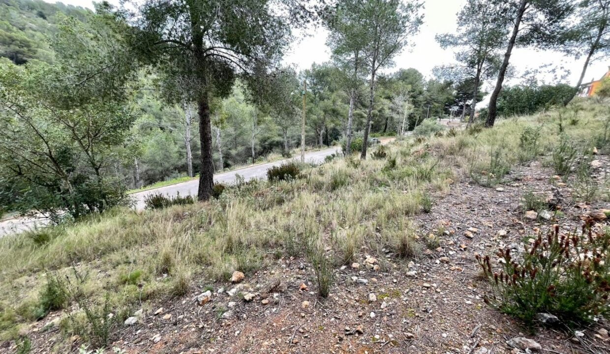 TERRENO EN EL PRIORAT DE LA BISBAL_2