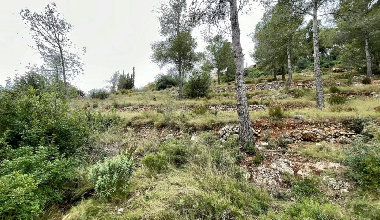 TERRENO EN EL PRIORAT DE LA BISBAL_1