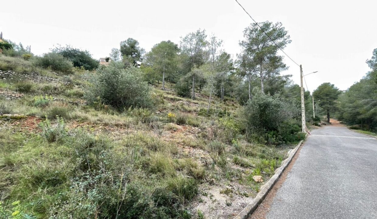 TERRENO EN EL PRIORAT DE LA BISBAL_3