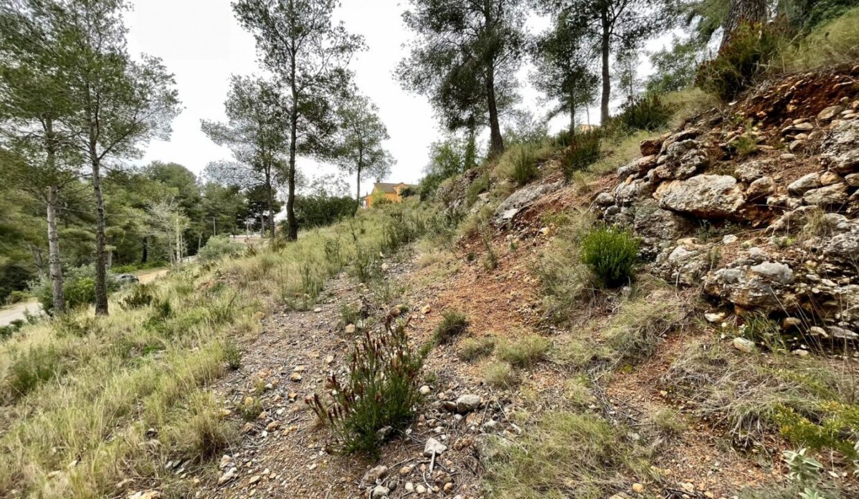 TERRENO EN EL PRIORAT DE LA BISBAL_4