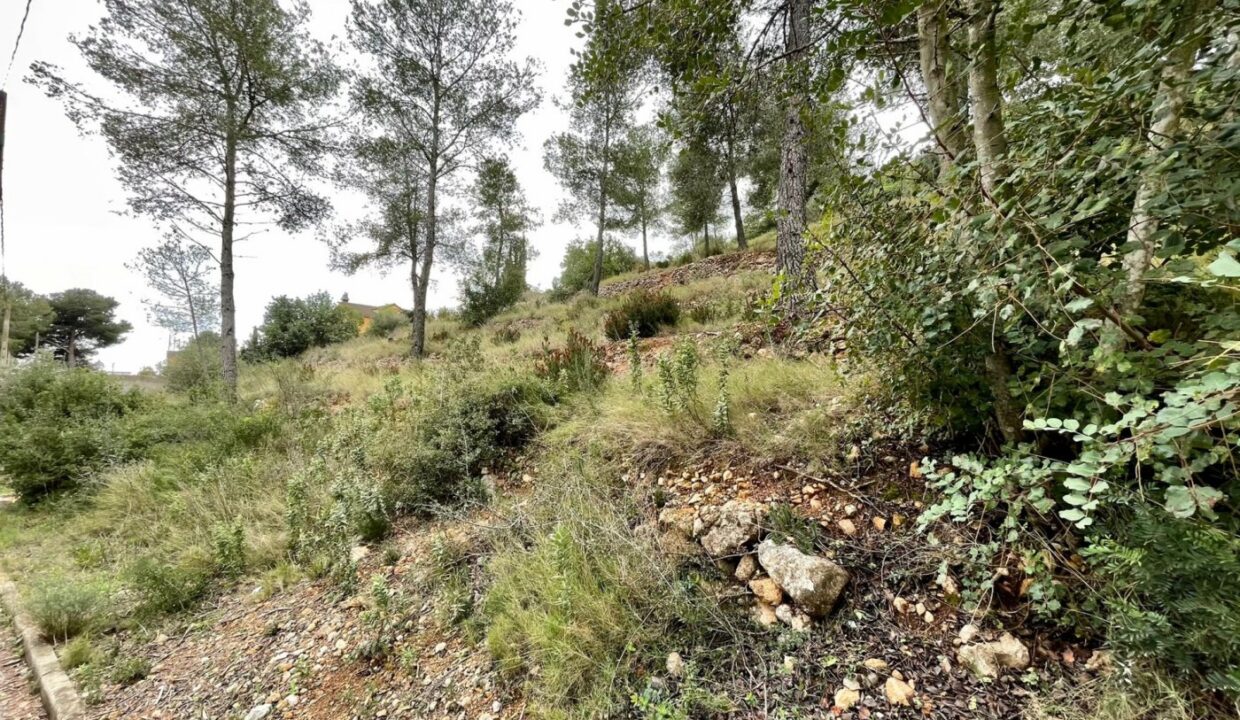 TERRENO EN EL PRIORAT DE LA BISBAL_5