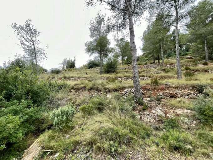 TERRENO EN EL PRIORAT DE LA BISBAL_1