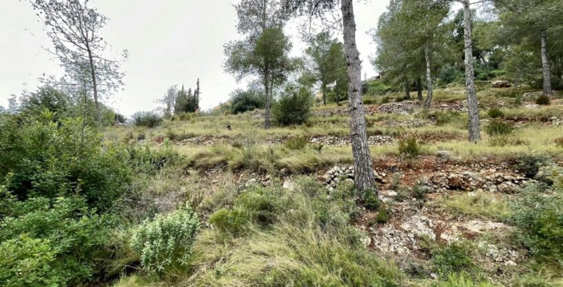 TERRENO EN EL PRIORAT DE LA BISBAL_1