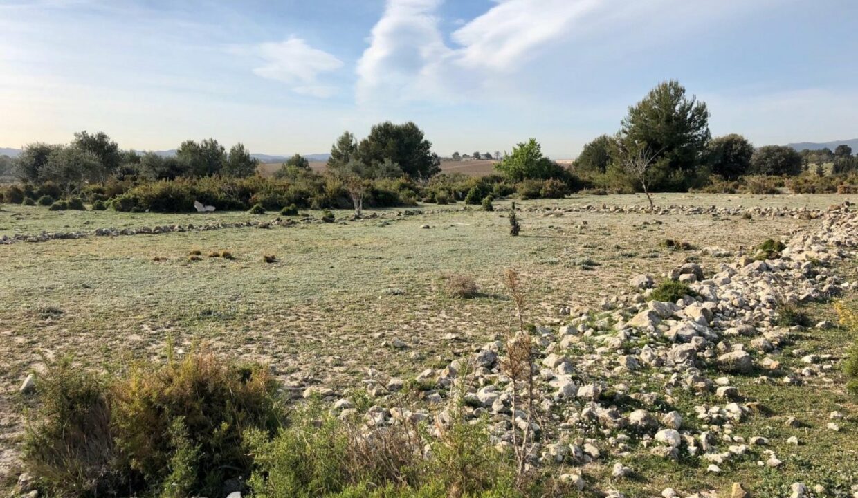 TERRENO EN ELS ARQUETS-SANT JAUME DEL DOMENYS_2