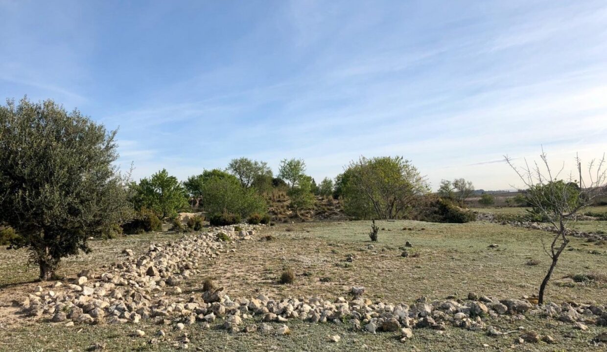 TERRENO EN ELS ARQUETS-SANT JAUME DEL DOMENYS_4