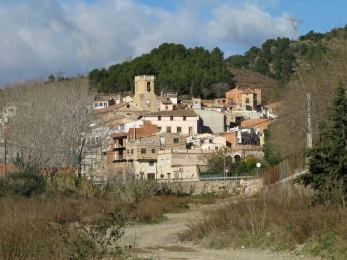 TERRENO RÚSTICO DE SECANO DE AVELLANOS - RIUDECOLS_1