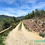 TERRENO RUSTICO EN VENTA ALFORJA_1