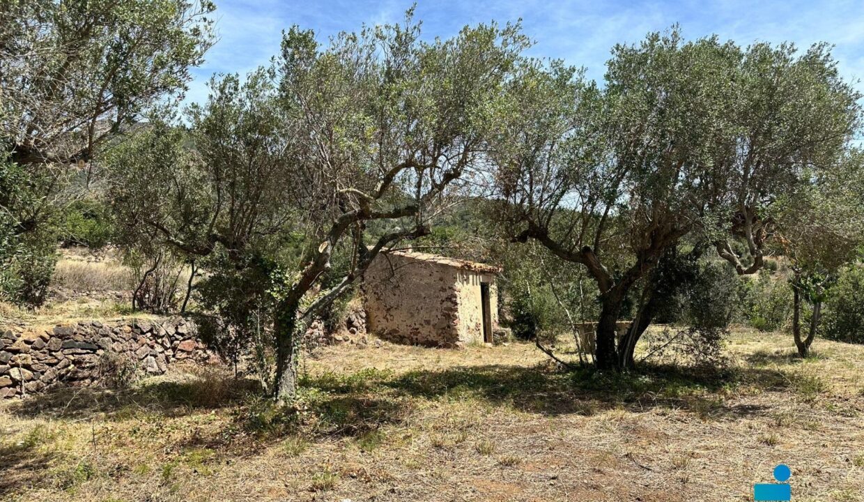 TERRENO RUSTICO EN VENTA ALFORJA_4