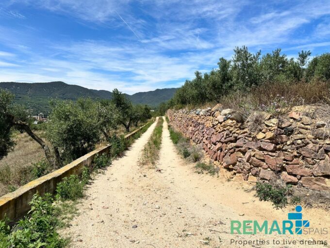 TERRENO RUSTICO EN VENTA ALFORJA_1