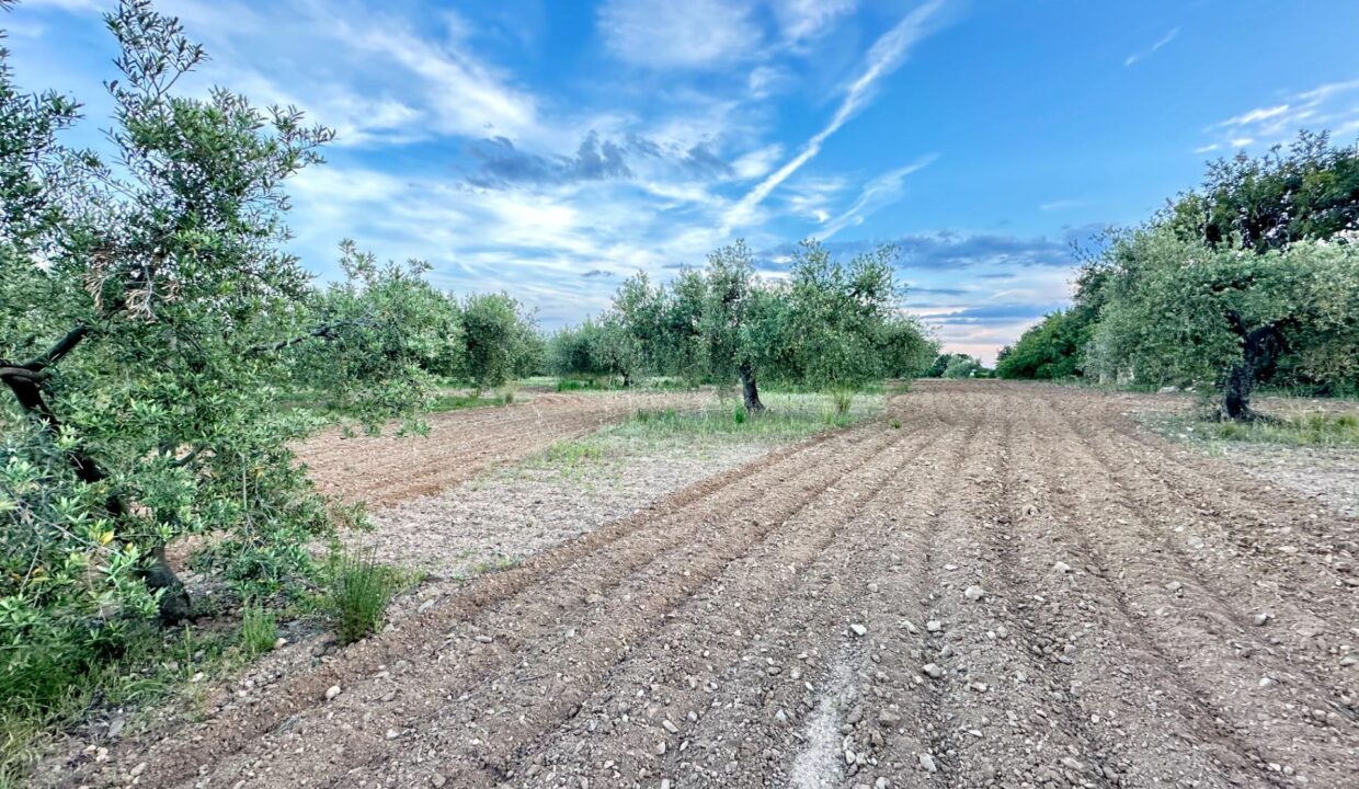 TERRENO RUSTICO EN VILA-SECA_1