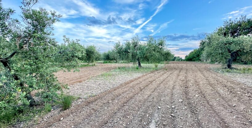 TERRENO RUSTICO EN VILA-SECA_1