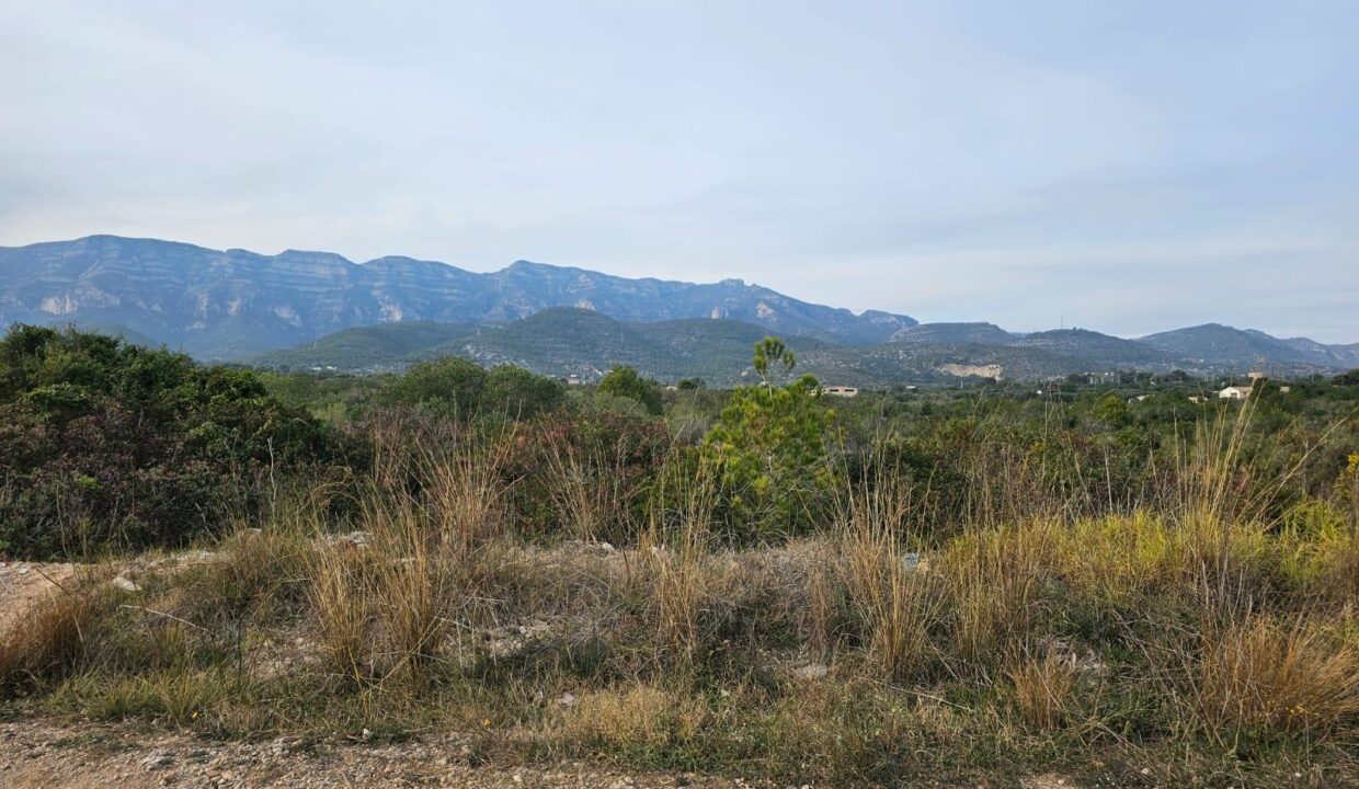 TERRENO URBANIZABLE EN LA RAPITA_1