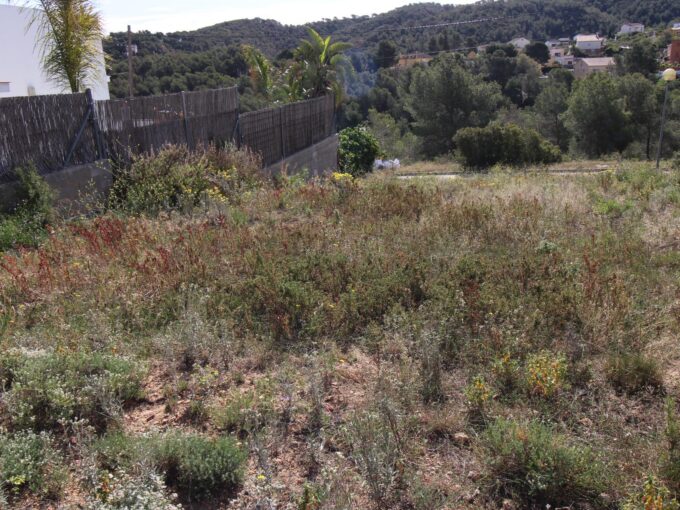 Terreno Urbano en Plena Naturaleza_1