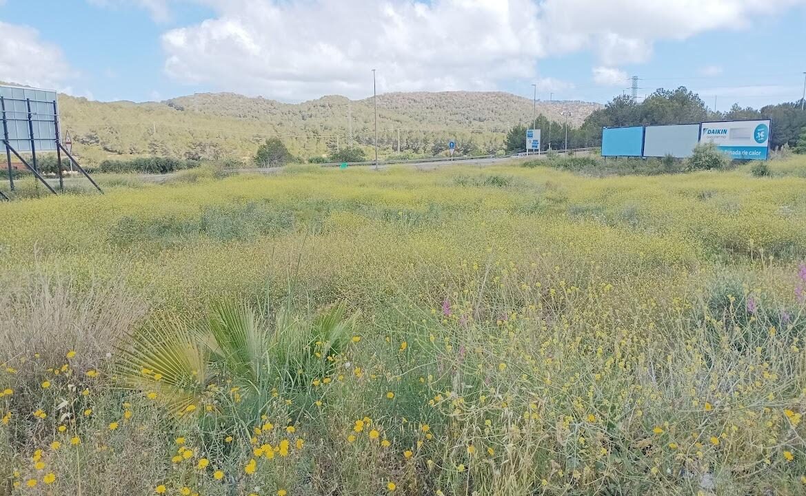 Terreno ideal para Gasolinera y lava coches_1