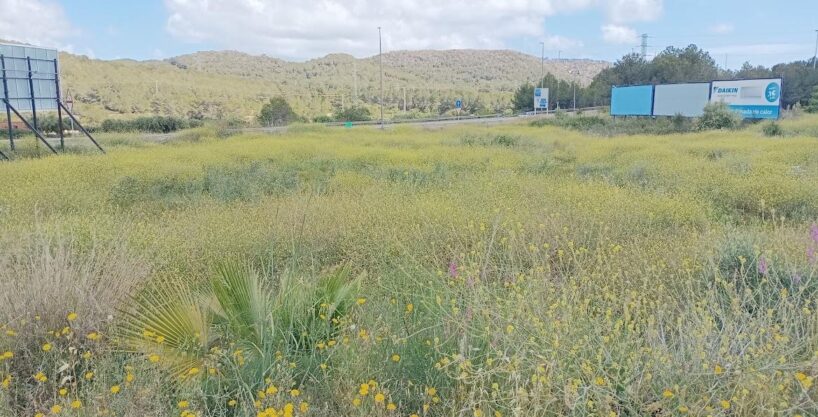 Terreno ideal para Gasolinera y lava coches_1