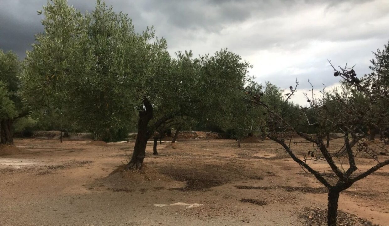 finca rustica con casa de campo y balsa