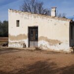 finca rústica de olivos con caseta de campo_1